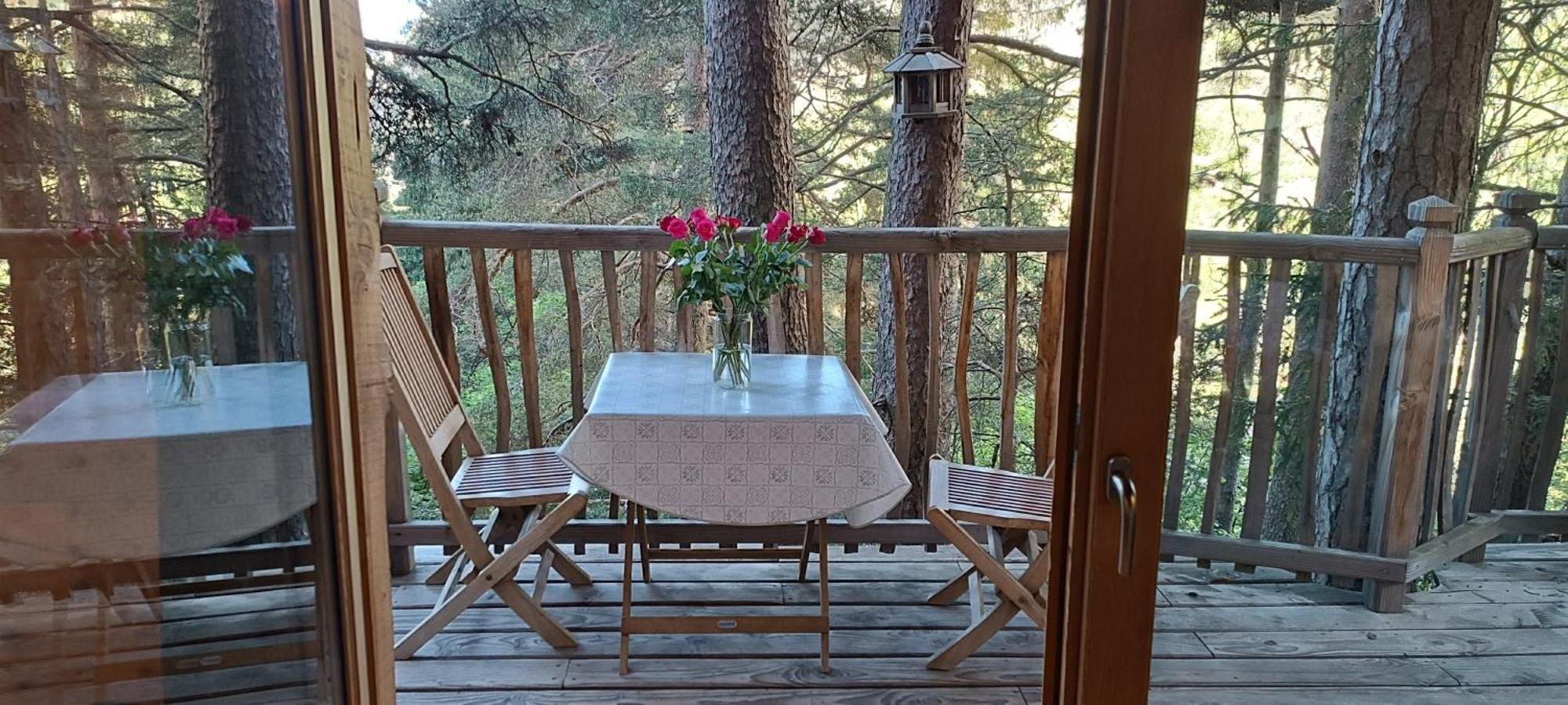 Les Cabanes Des Pins Sylvestres Saint-Martin-Vésubie Eksteriør billede